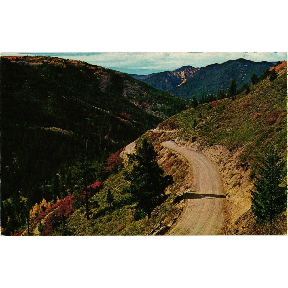 Switchbacks Red River New Mexico Postcard‎ Unposted